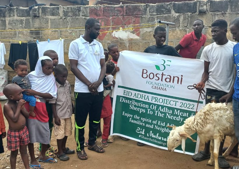 Bostani-Foundation39