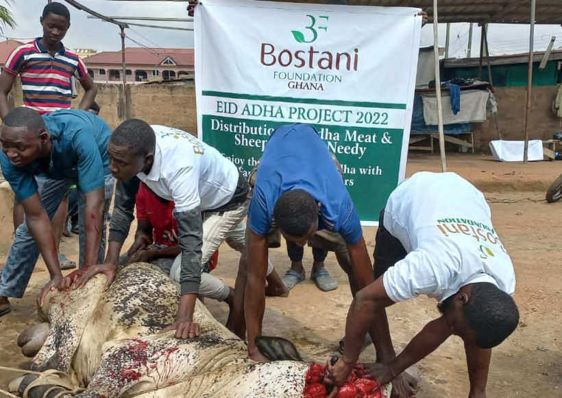 Bostani-Foundation50